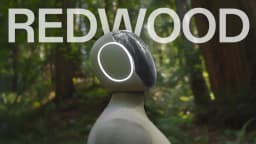 1X Unveils Redwood AI: A Unified, Onboard Brain for Its NEO Humanoid Robots