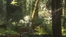 1X Teases "Incredible" Reveal Amidst Redwoods; Foundation Robotics Launches "Skynet Junior" Training Cluster