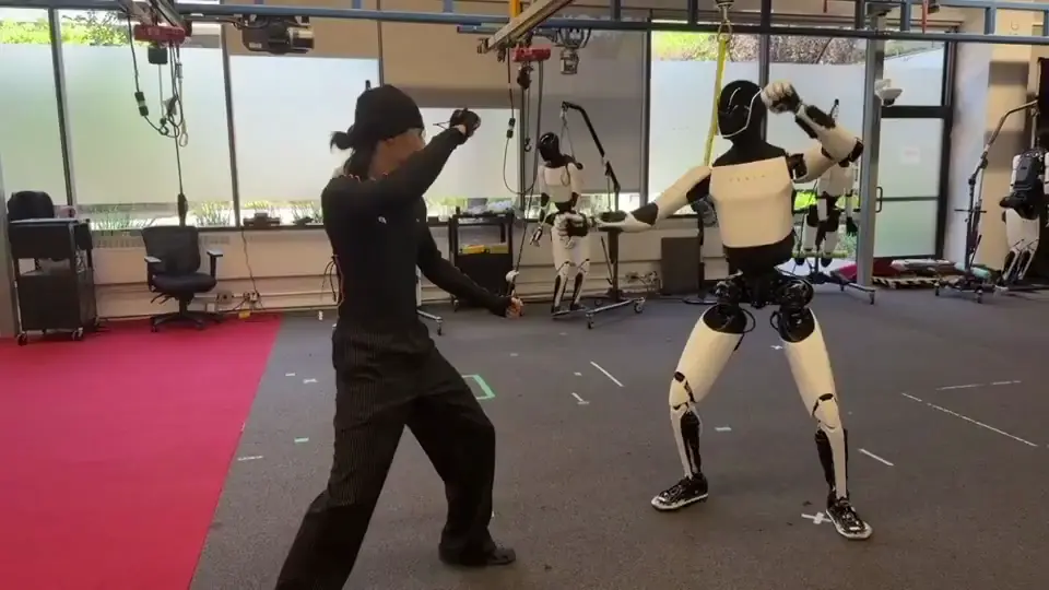 Tesla Optimus doing Kung Fu