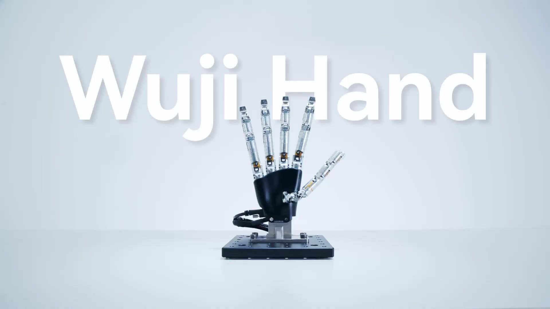 Wuji tech hand