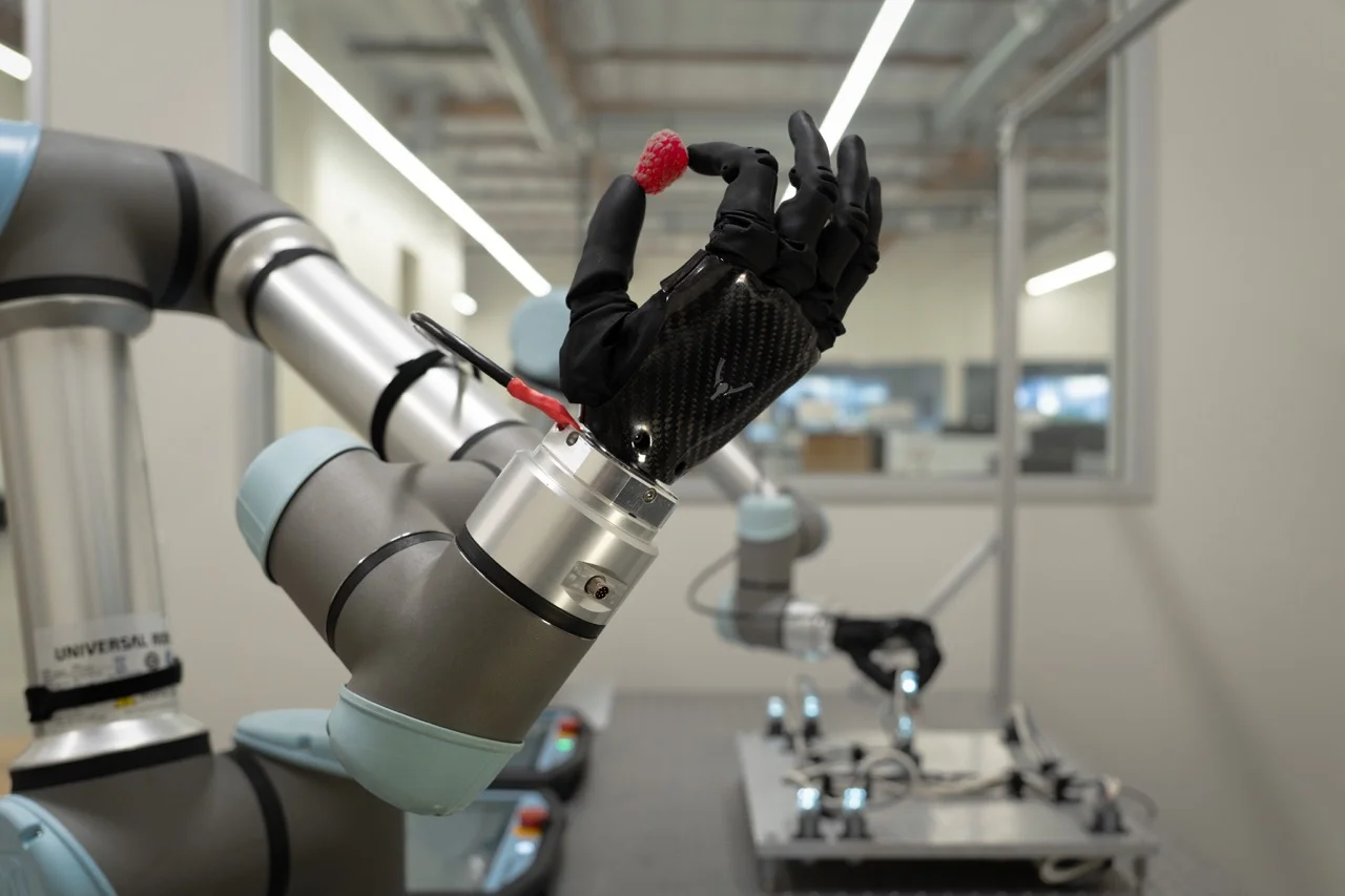 A close-up of a PSYONIC Ability Hand mounted on a silver robotic arm, delicately holding a single red raspberry between its thumb and index finger.