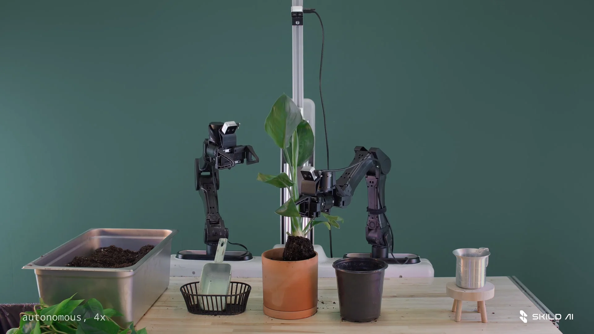 A dual-arm robotic manipulator running Skild AI's S1 foundation model autonomously potting a plant at a workbench with soil and tools.