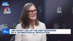 Cathie Wood: Humanoid Robots Are the ‘Biggest of All’ Embodied AI Opportunities