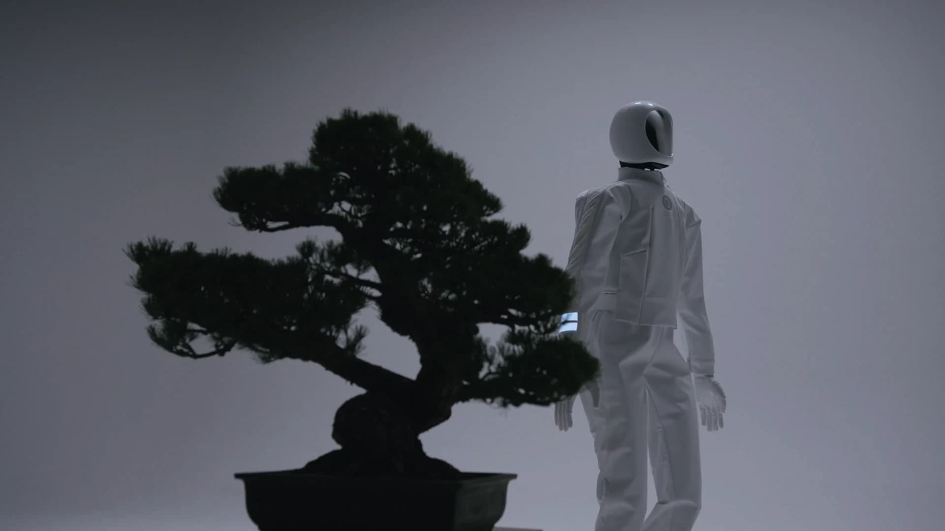 A white humanoid robot beside a bonsai tree in a Donut Robotics promotional video.