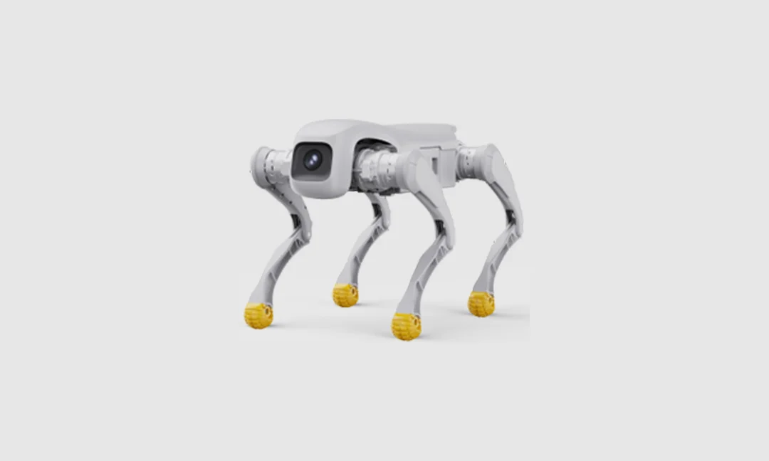 AGIBOT (Zhiyuan Robotics) AGIBOT D1 Series