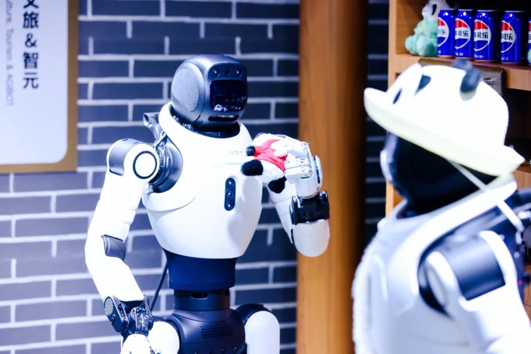 AGIBOT (Zhiyuan Robotics) AGIBOT X2 EDU