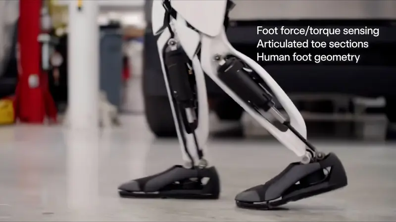 Stepping Forward: The Debate Over Active vs. Passive Toes in Humanoid Robotics